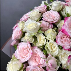 orig (2)25